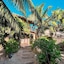 Orchid House Tulum Beach