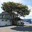 Midway Pacifica Lodge