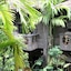 Petit Temple Suite & Spa