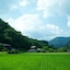 Miyama Futon & Breakfast Thatched Cottages