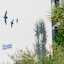 Via Farilya Hotel
