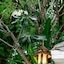 Tolani Southgate Villa Chiang Mai