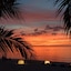 Seaboard Bungalows