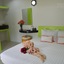 Harmony Bed And Bakery