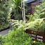 Broad Leaf Villas
