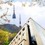 N. Fourseason Seoul