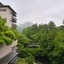 Hanamurasaki