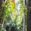 Árbol De Fuego Eco-Hotel, A Green Experience In The City