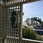 Casablanca Enchanted Cottage