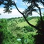 The Falls Rainforest Cottages