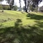 Tamwell Motel