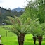 Maydena Mountain Cabins