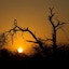Rhino Ridge Safari Lodge