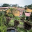 Park Hotel Resort