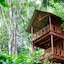 Ella Eco Lodge