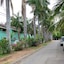 Tropical Gardens