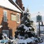 The Royal Oak