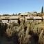 The Olive Exclusive All-Suite Hotel