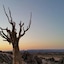Tutwa Desert Lodge