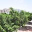 Résidence Amwaj