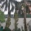 Hotel Kabli