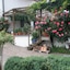 Landhotel Elfenhof
