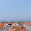 Born To Stay In Milfontes