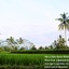 Alam Dania Cottage