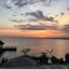 Impala Ecolodge