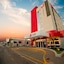 Ibis Arapiraca