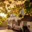 The White Lion