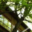 Hoshinoya