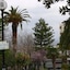 Alena Apartments