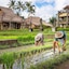 Visesa Ubud Resort