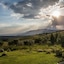 Hoyohoyo Eagle's View Eco Estate