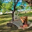 Bakwa Lodge