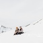 Hotel Alpenrose Sport & Aktiv