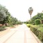 Jericho Resort Village