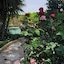 Villa Solary
