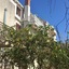 Apartments Ivanka