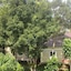 Eco Spring Phu Quoc Villa