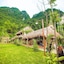 Tam Coc Rice Fields Resort