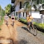 Rajarata Family Resort