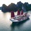 Alisa Premier Cruise