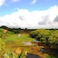 Peacock Land
