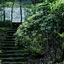 Forest Inn Imari