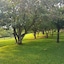Wensleydale Guest Lodge