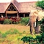 Bush Lodge – Amakhala Game Reserve