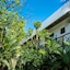 Pacha Tulum Boutique Hotel