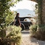 Luxury Villa Piedra